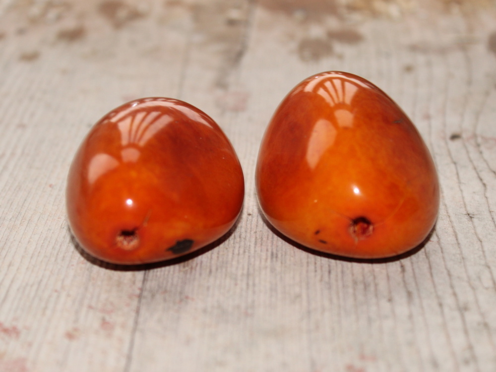 Dekorační semena tagua - velká (lososová)