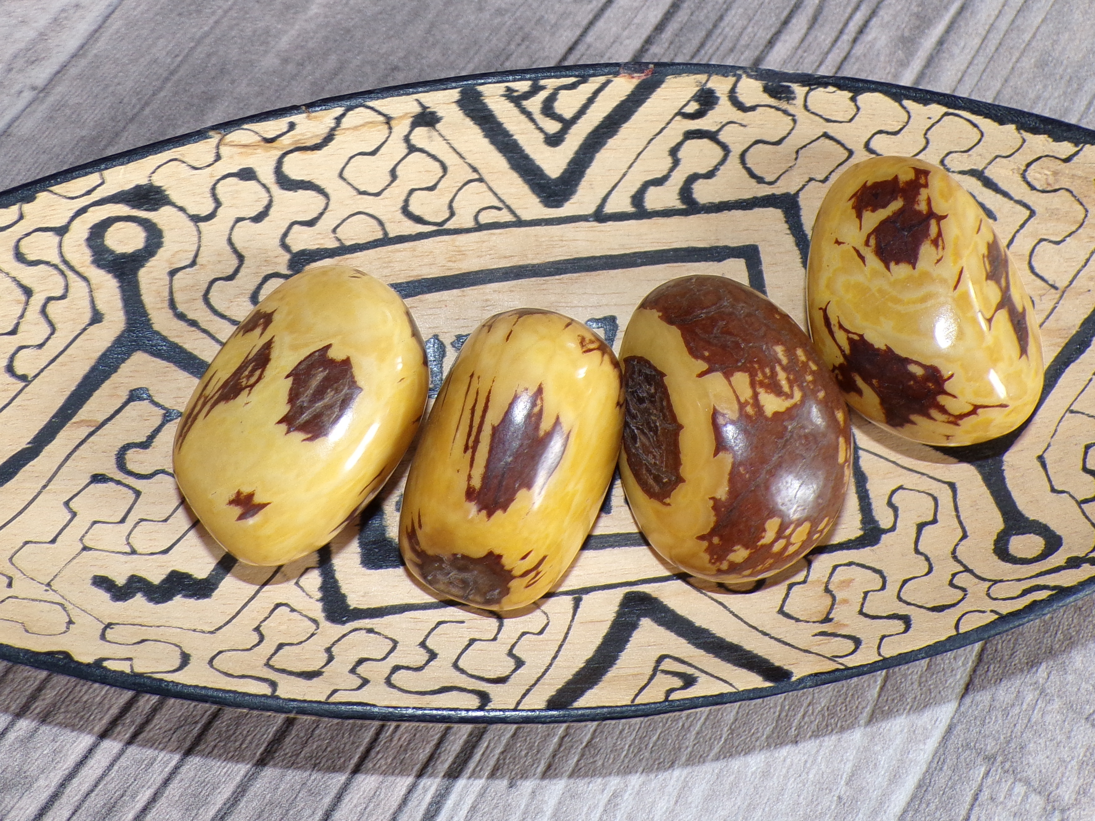 Tagua - maxikorálek (žlutý, kresba)