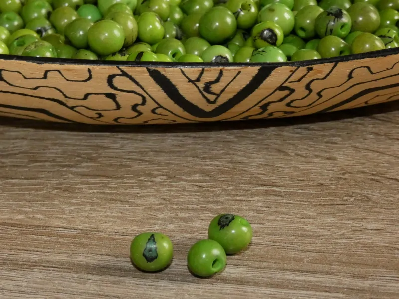 Acai (světle zelený I)