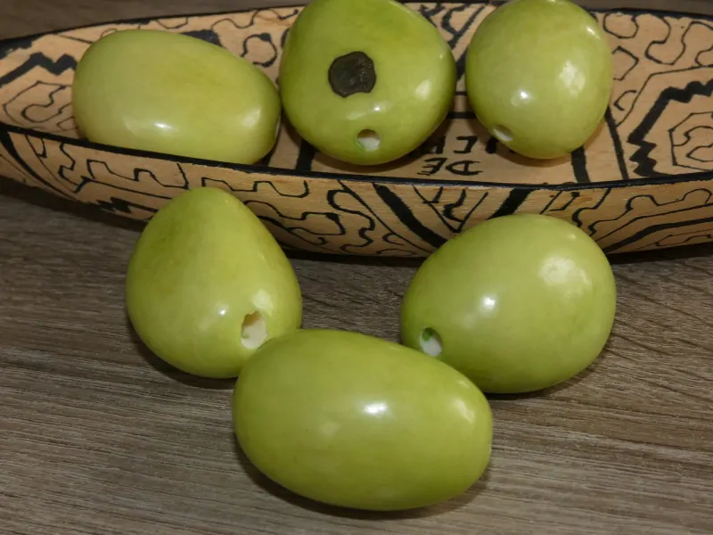 Tagua - maxikorálek (světle zelený I)