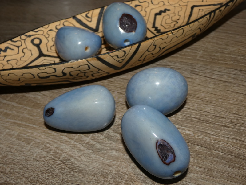 Tagua - maxikorálek (světle modrý)
