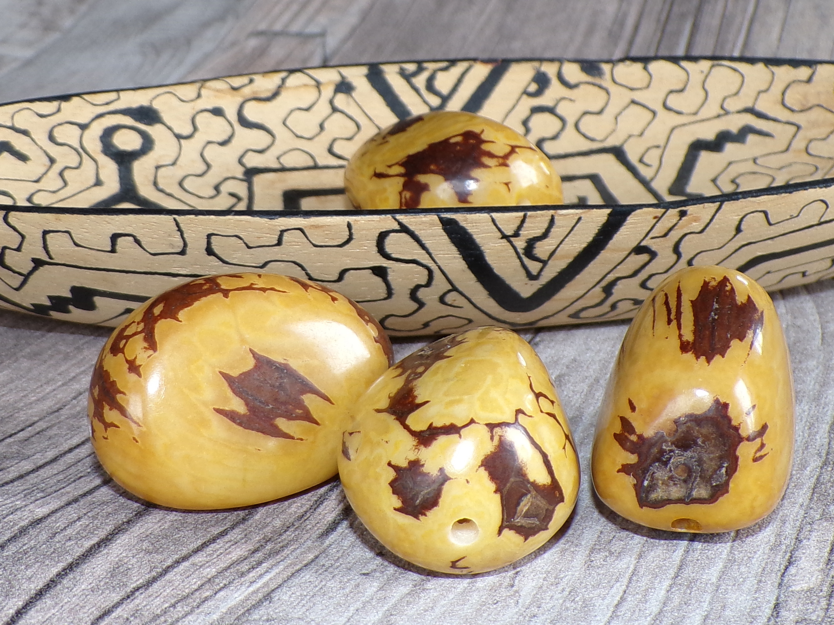 Tagua - maxikorálek (žlutý, kresba)