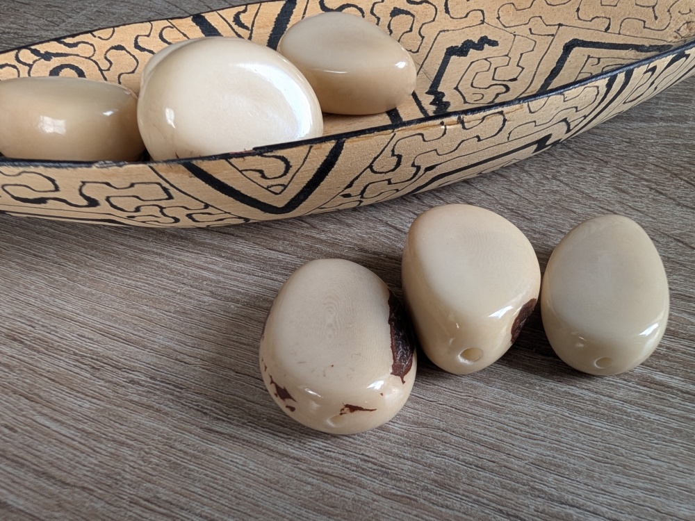 Tagua - oblázek (podélný, přírodní)