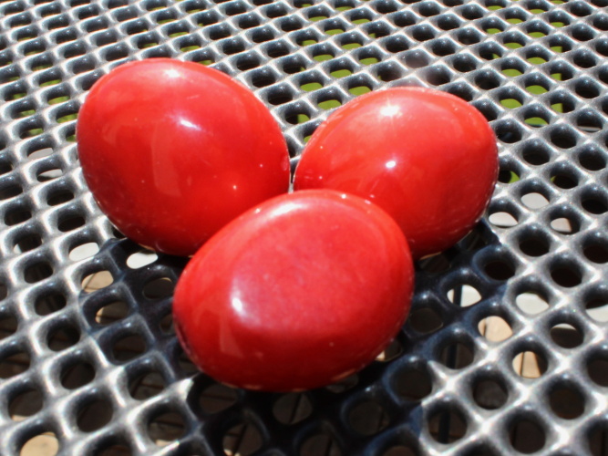 Tagua - korálek (červený)