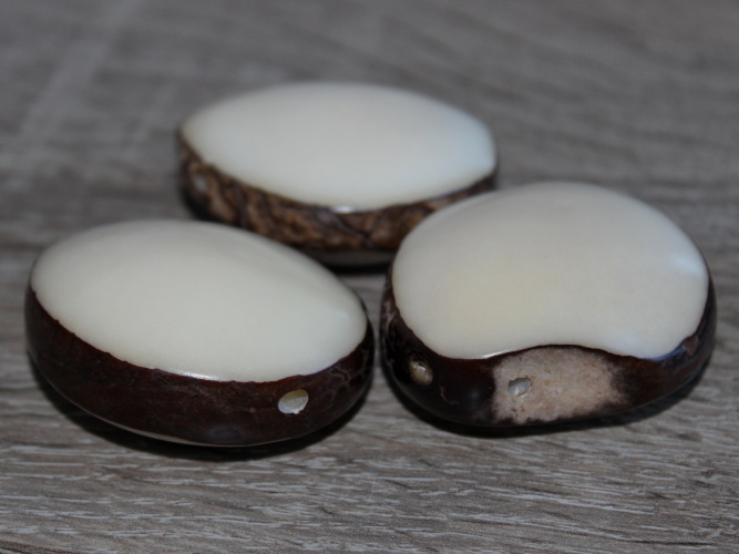 Tagua - maxičočka (přírodní)