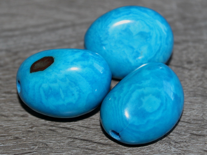 Tagua - korálek (tyrkysový)