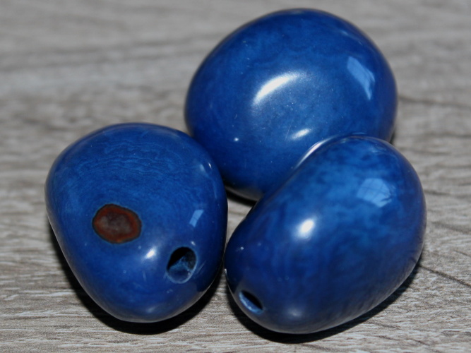 Tagua - korálek (tmavě modrý)