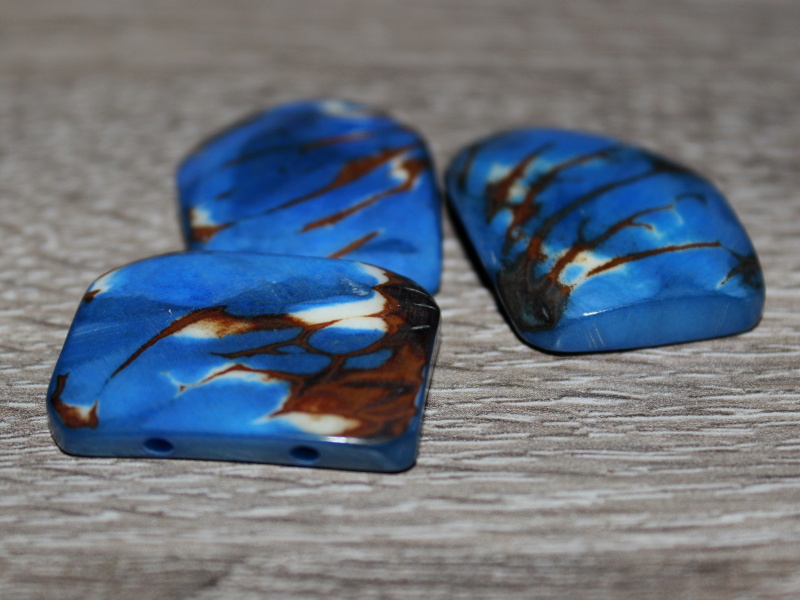 Tagua obdélník (modrý, 2 dírky)