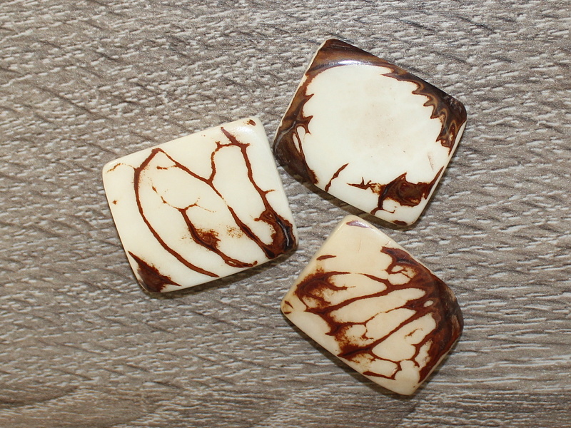 Tagua obdélník (přírodní, 2 dírky)