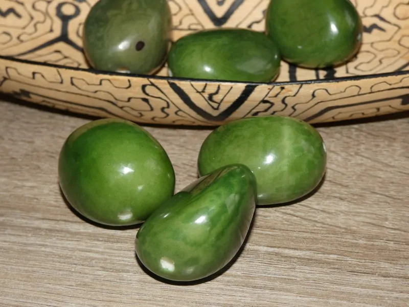 Tagua - maxikorálek (zelený)