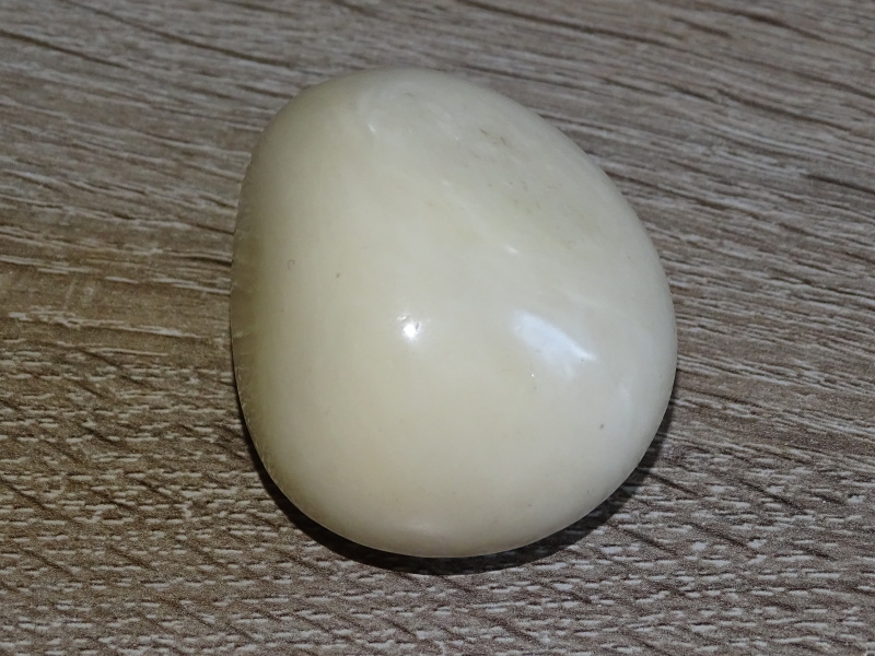 Dekorační semena tagua (přírodní)