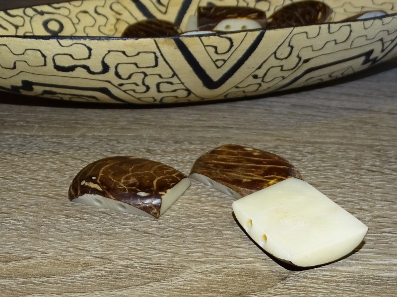 Tagua obdélník (surový, 2 dírky)