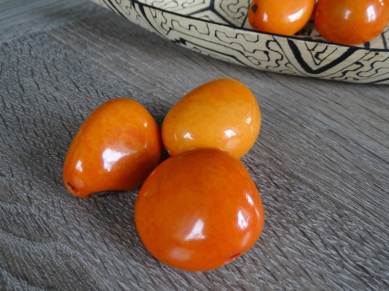 Tagua - maxikorálek (oranžový)