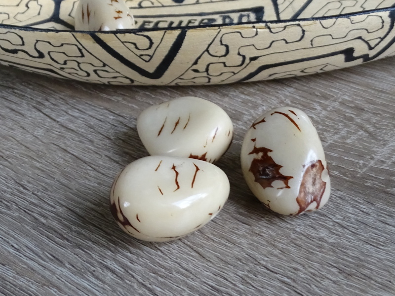 Tagua - korálek (smetanový, kresba-perforovaný ve špičce)