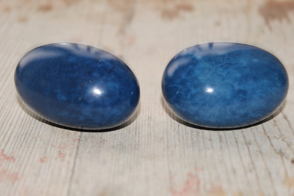 Dekorační semena tagua - velká (modrá)