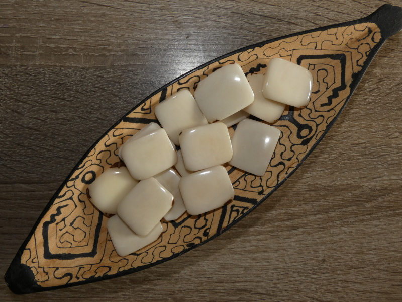 Tagua obdélník (přírodní, 2 dírky, bez kresby)