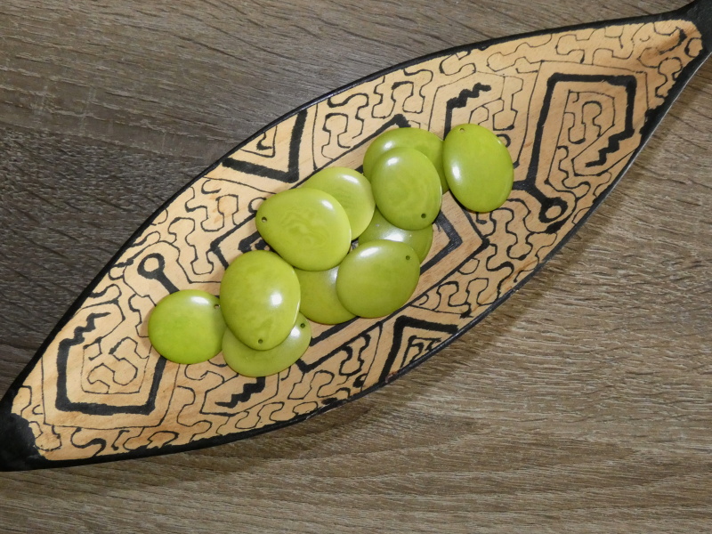 Tagua - plátek (střední, světle zelený)