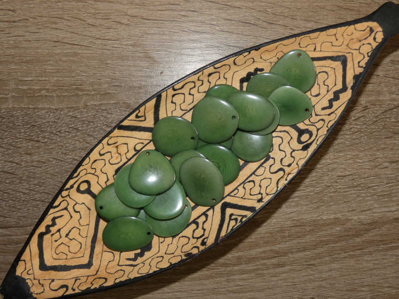 Tagua - plátek (střední, zelený)