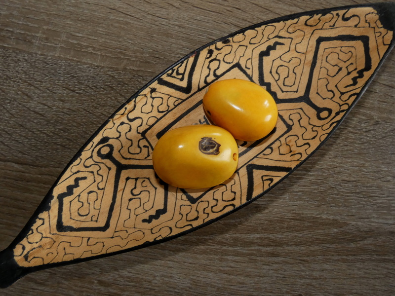 Tagua - maxikorálek (žlutý, perforovaný na špičce)