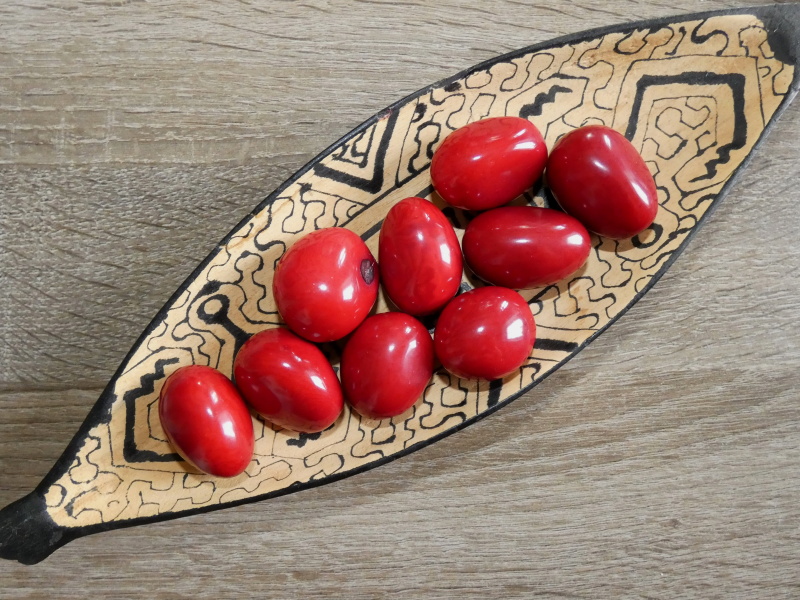 Tagua - korálek (tmavě červený)