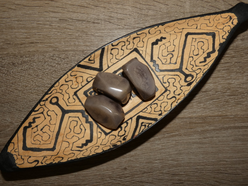 Tagua - drahokam (šedý)