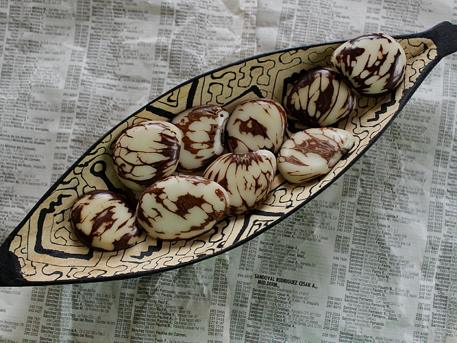 Tagua - placka (přírodní)