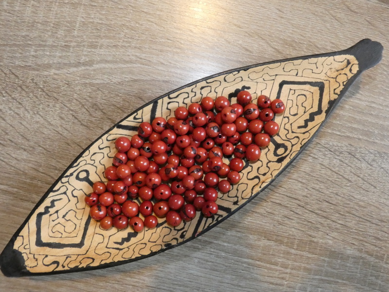 Acai (červenohnědý)