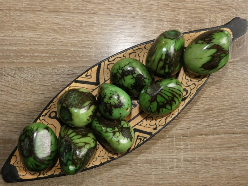 Tagua - maxikorálek (zelený - kresba)