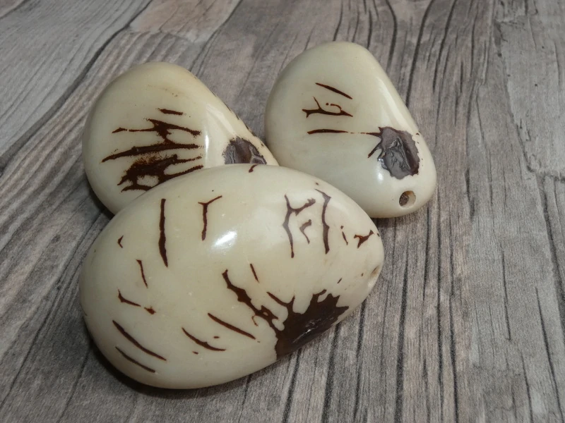 Dekorační semena tagua - mramor I