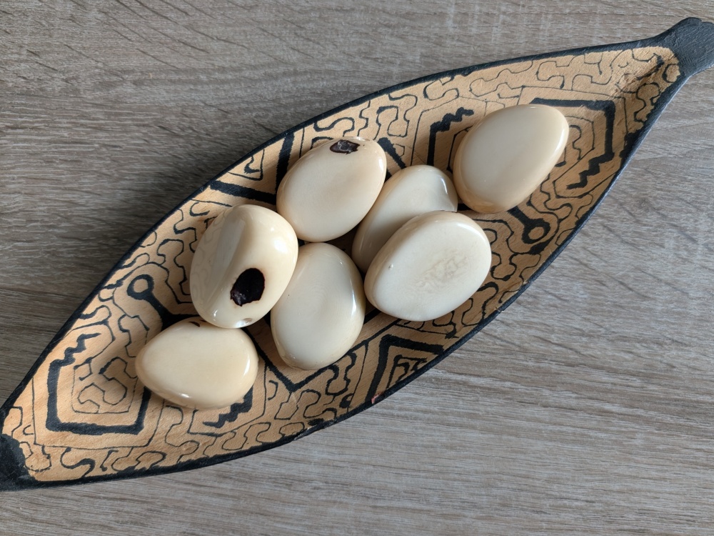 Tagua - oblázek (podélný, přírodní)