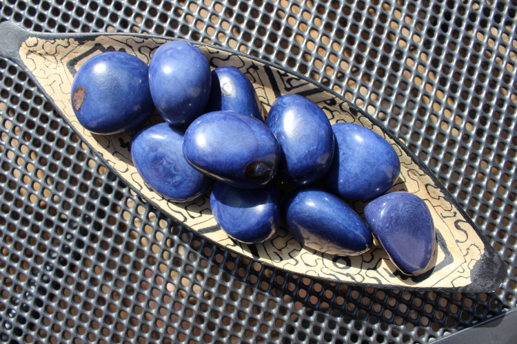 Tagua - maxikorálek (tmavě modrý)