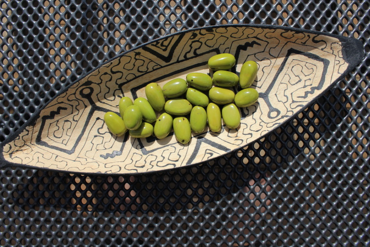 Visola (světle zelená)