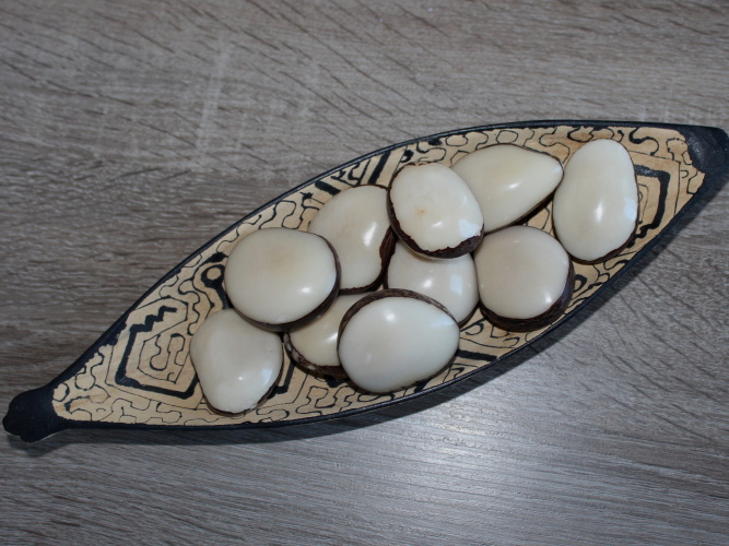 Tagua - maxičočka (přírodní)