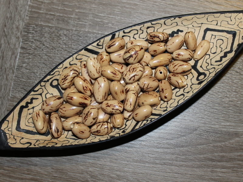 Visola (přírodní)