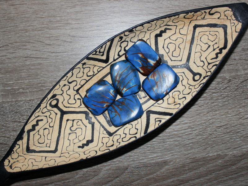 Tagua obdélník (modrý, 2 dírky)