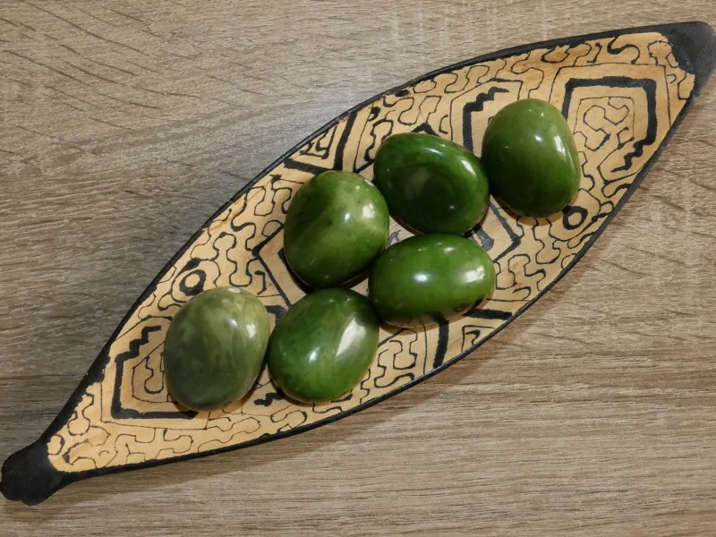 Tagua - maxikorálek (zelený)