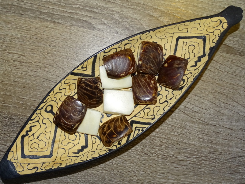 Tagua obdélník (surový, 2 dírky)