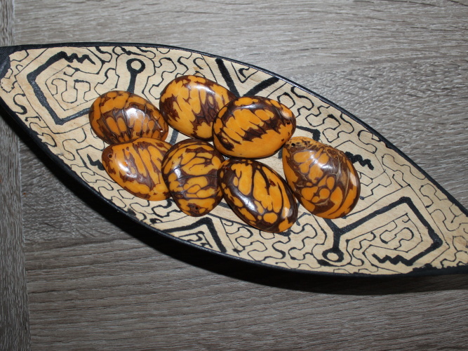 Tagua - placka (světle oranžová)