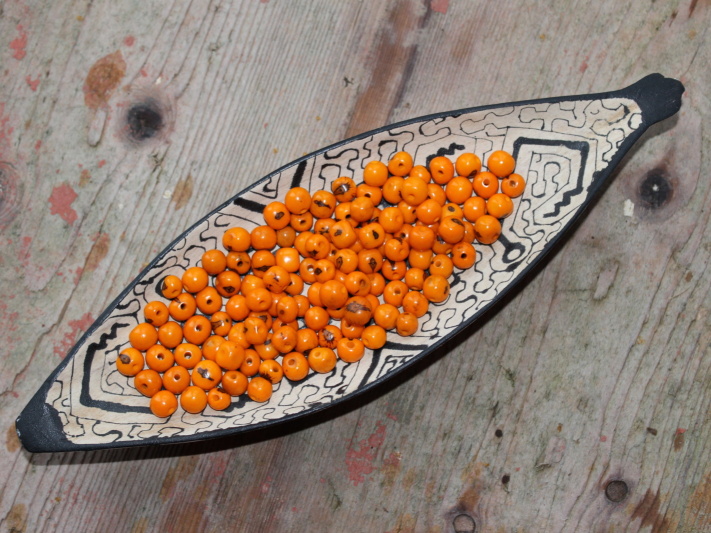 Acai (světle oranžový)