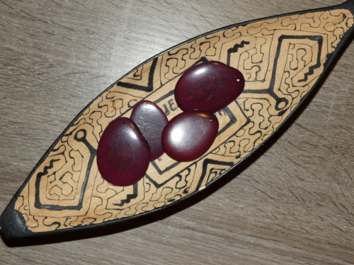 Tagua - plátek (vínový)