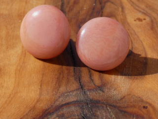 Náušnice tagua (malé, zapichovací, lososové)