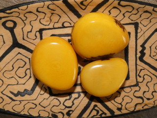 Tagua - oblázek (podélný, žlutý)