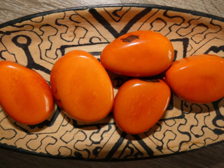 Tagua - oblázek (podélný, oranžový)