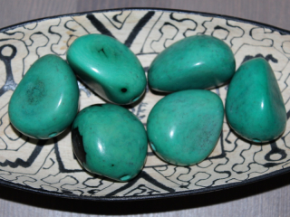 Tagua - maxikorálek (aqua)