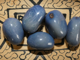 Tagua - korálek (světle modrý)
