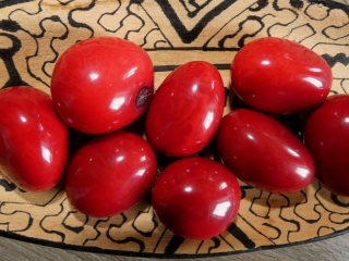 Tagua - korálek (tmavě červený)