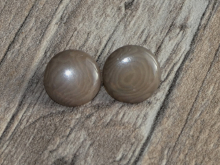 Náušnice tagua (malé, zapichovací, šedé)