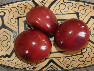 Tagua - maxikorálek (vínový)