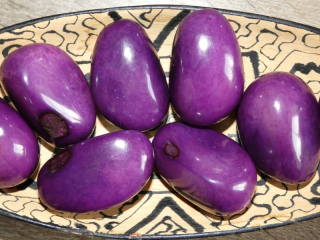 Tagua - maxikorálek (fialový)
