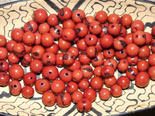 Acai (červenohnědý)